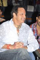 Balakrishna Gallery